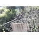 BENJAMIN BP22220 MINI MARAUDER WOODS WALKER