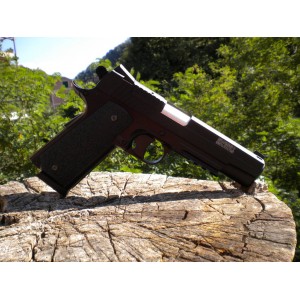 SWISS ARMS 1911