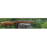 BERETTA WEATHERBY MK XXII Cal. .22LR