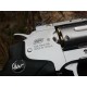 REVOLVER  DAN WESSON "6 SILVER  