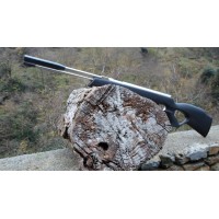 Weihrauch HW 977T Synt Stainless