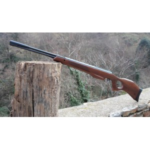 DIANA 470 TARGET HUNTER cal. 5.5mm