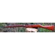 MOSIN  NAGANT   91 30  cal. 7,62x54R