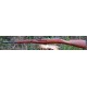  MOSIN  48 POLACCO DA CADETTO  cal.22lr